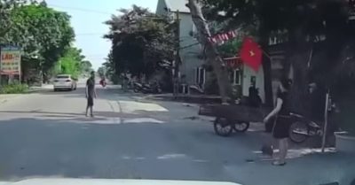 Cưa cây trước nhà, cây đổ ra đường đè chết người đi xe máy
