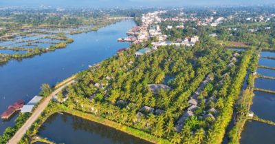Rừng dừa hơn 40 năm tuổi thành điểm nghỉ dưỡng ở Quảng Ngãi