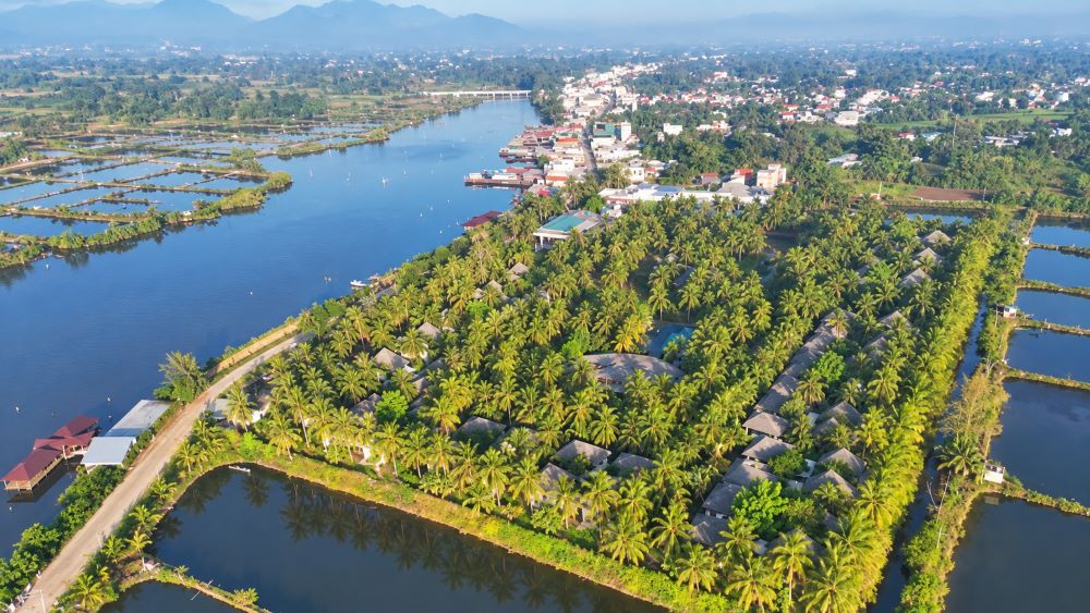 Khu du lịch Bãi Dừa ở Quảng Ngãi nổi bật với rừng dừa hơn 40 năm tuổi, hình thành từ nguồn giống do Liên Xô tài trợ.