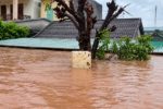 Mưa lũ Quảng Trị: hơn 2.500 người sơ tán, nhiều xã bị chia cắt