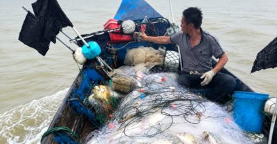Cá chim vàng giúp ngư dân tăng thu nhập sau chuyến biển