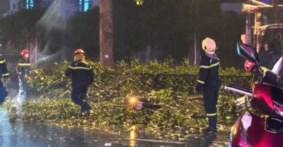 TPHCM: Nhánh cây cổ thụ gãy giữa mưa giông, người chồng tử vong