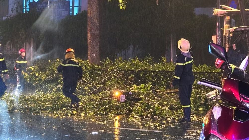 Nhánh cây lớn rơi trúng xe máy ở TPHCM khiến người chồng tử vong, người vợ bị thương. Lực lượng chức năng đang điều tra vụ việc.