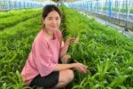 Nàng dâu Việt đưa rau quê nhà vào nông trại Hàn Quốc