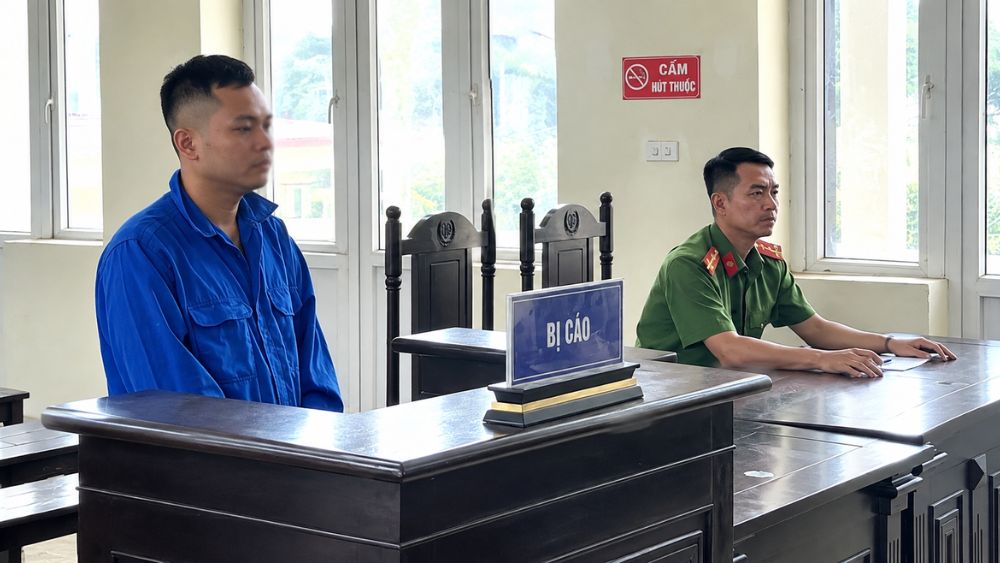 Trịnh Quốc Cơ bị tuyên 2 năm 9 tháng tù về tội cố ý gây thương tích và sử dụng trái phép vũ khí quân dụng.