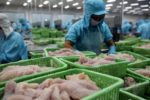 Tôm hùm, cá tra Việt Nam giữ lợi thế xuất khẩu