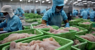 Tôm hùm, cá tra Việt Nam giữ lợi thế xuất khẩu
