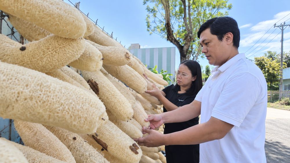 Từ đơn hàng 30 USD, vợ chồng anh Lê Nhất Vũ phát triển hơn 20 sản phẩm từ xơ mướp, xuất khẩu sang nhiều thị trường.
